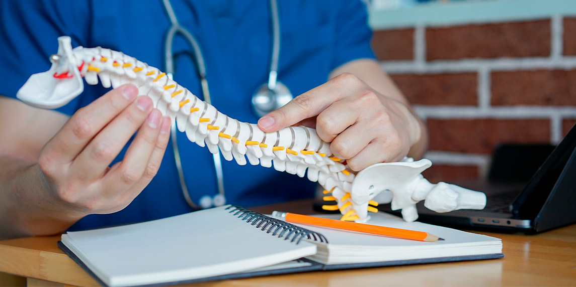 Chiropractor showing a column example.