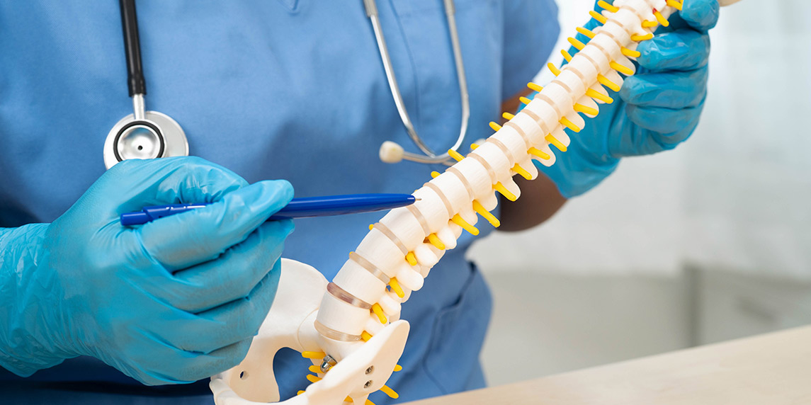 A physician displays a spine model, emphasizing important factors to consider when selecting a chiropractor.
